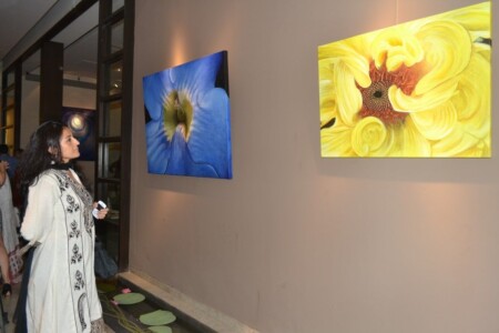 Percept Art, Mumbai